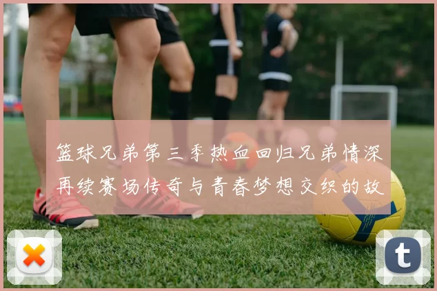 篮球兄弟第三季热血回归兄弟情深再续赛场传奇与青春梦想交织的故事