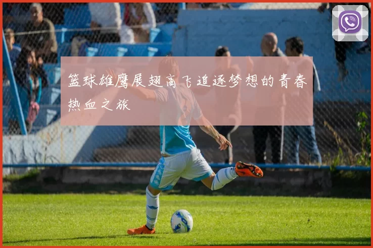 篮球雄鹰展翅高飞追逐梦想的青春热血之旅